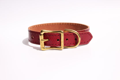 Luxurious red leather dog collar with golden brass hardware, showcasing refined elegance and premium craftsmanship.