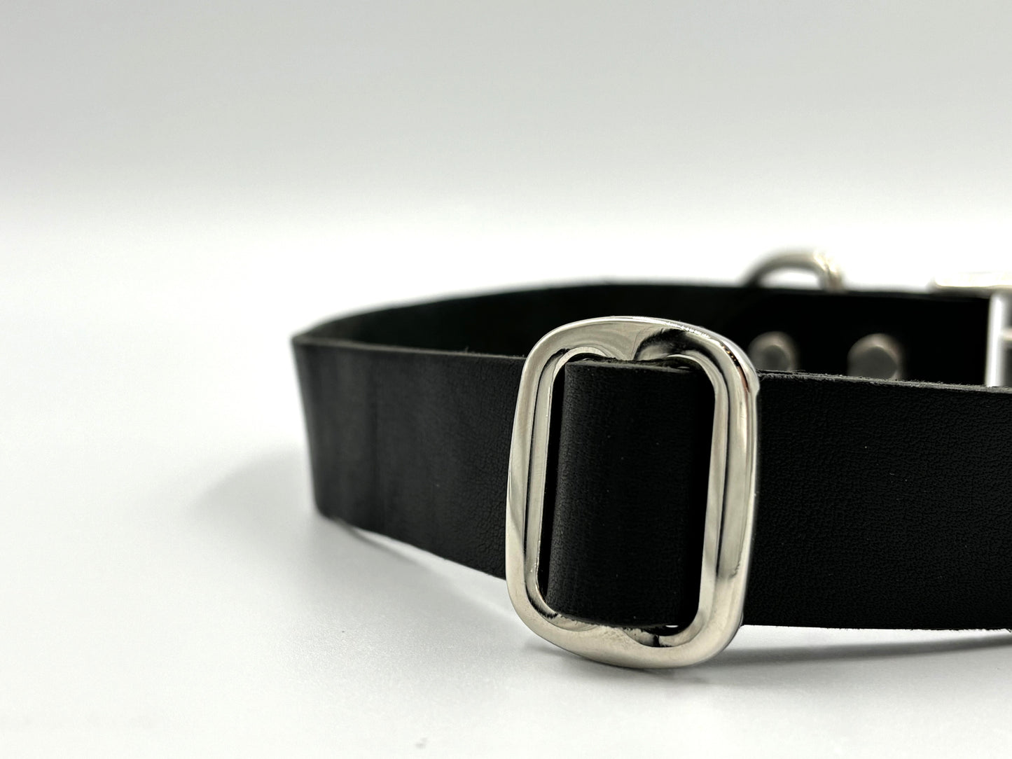 Close-up of luxury black leather dog collar with silver hardware and adjustable fit