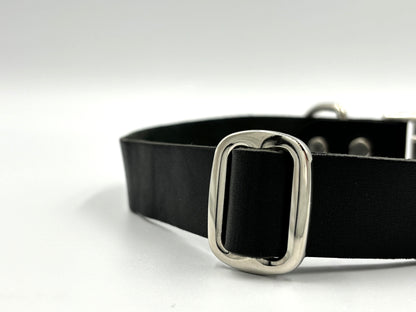 Close-up of luxury black leather dog collar with silver hardware and adjustable fit